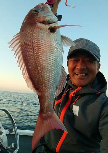 マダイの釣果