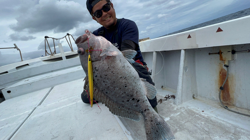 ツチホゼリの釣果