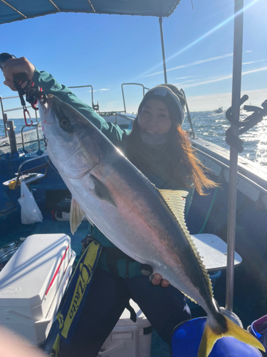 ブリの釣果