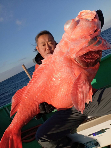 サンコウメヌケの釣果