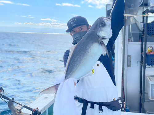 メダイの釣果