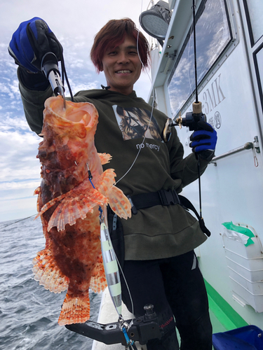 オニカサゴの釣果