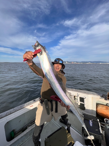 タチウオの釣果