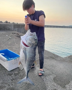 ロウニンアジの釣果