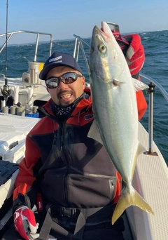 ハマチの釣果