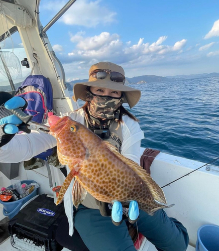 オオモンハタの釣果