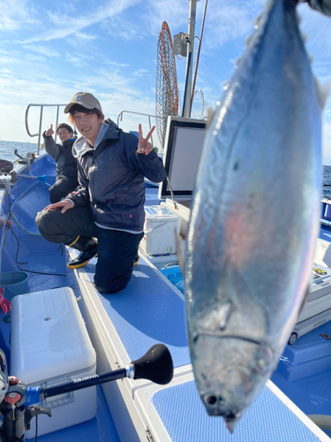 キハダマグロの釣果