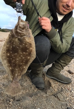 ヒラメの釣果