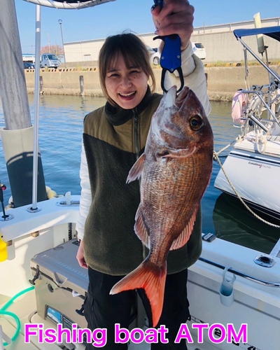 アマダイの釣果