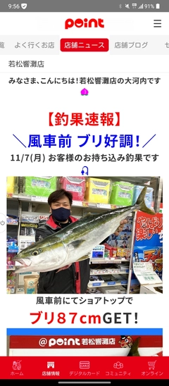 ブリの釣果