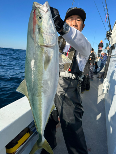 ワラサの釣果