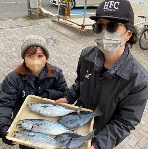 ヒラソウダの釣果