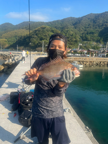 タイの釣果