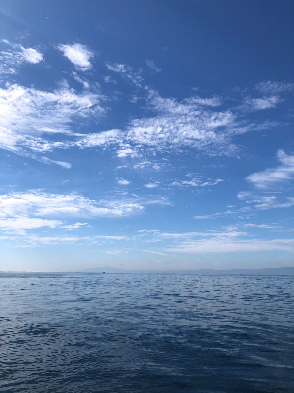 わたるスペシャルさんの釣果 2枚目の画像