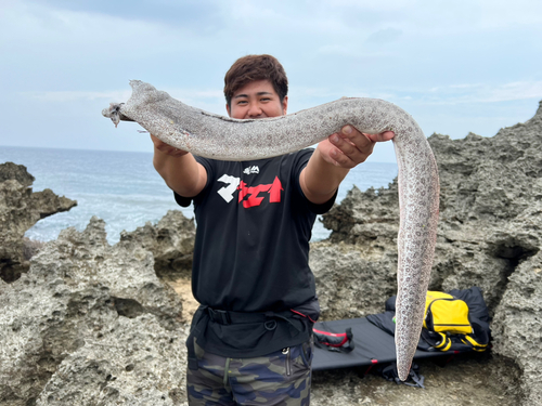 ウツボの釣果