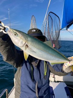 ヤズの釣果