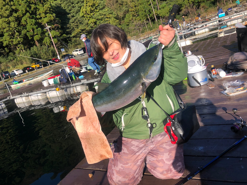 ブリの釣果