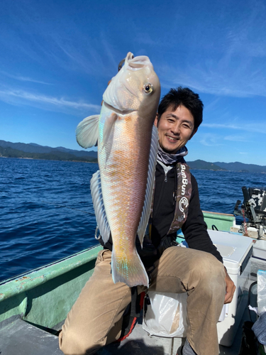 シロアマダイの釣果