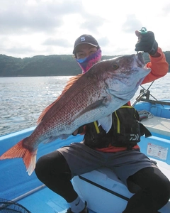 タイの釣果