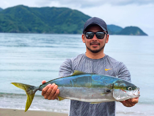 ワラサの釣果