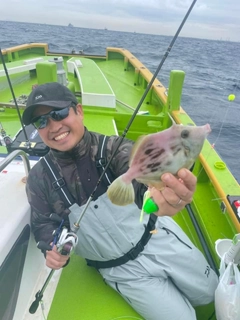 カワハギの釣果