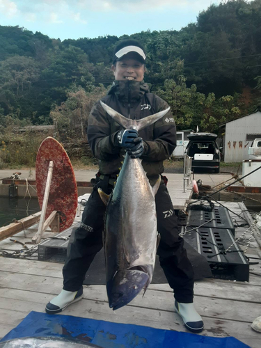 メバチマグロの釣果