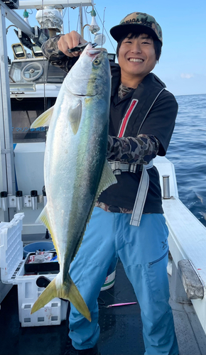 ブリの釣果