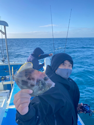 カワハギの釣果