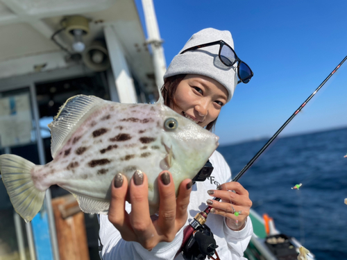 カワハギの釣果