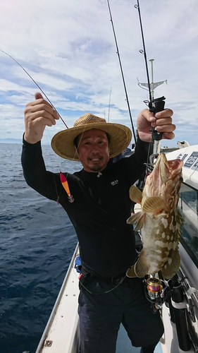 アラの釣果