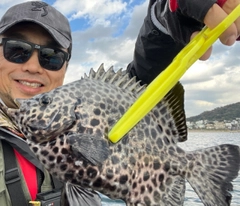 カワハギの釣果