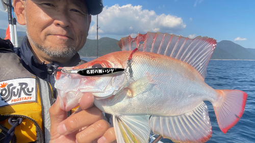 キントキダイの釣果