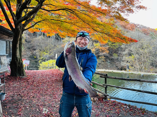 レインボートラウトの釣果