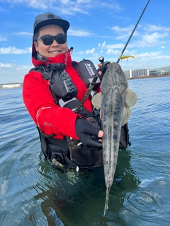 マゴチの釣果