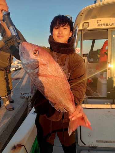 マダイの釣果