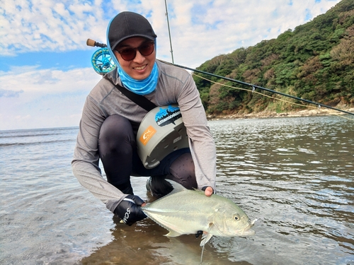 オニヒラアジの釣果