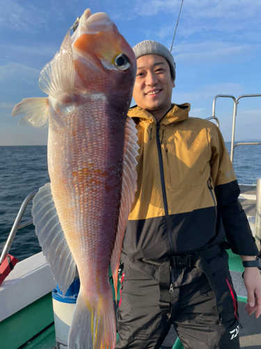 アマダイの釣果