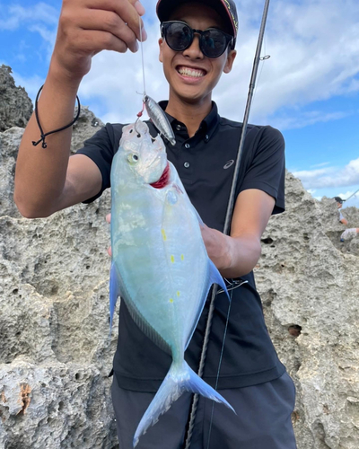 キハダマグロの釣果