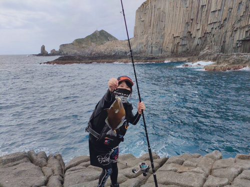 ツマジロモンガラの釣果