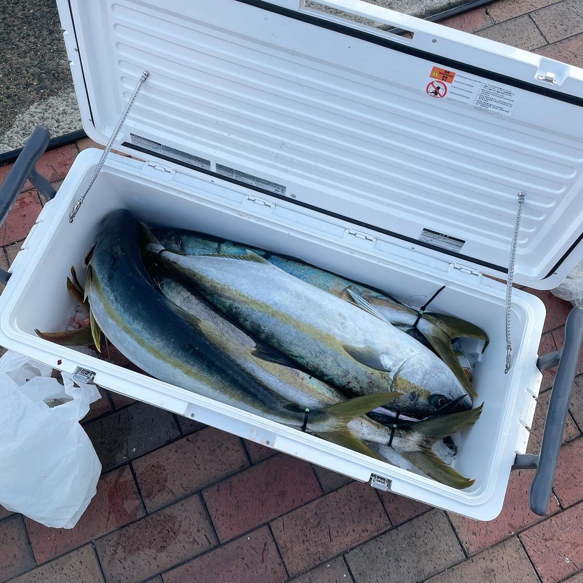 投げ釣りケンタマンさんの釣果 2枚目の画像