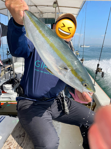 メジロの釣果