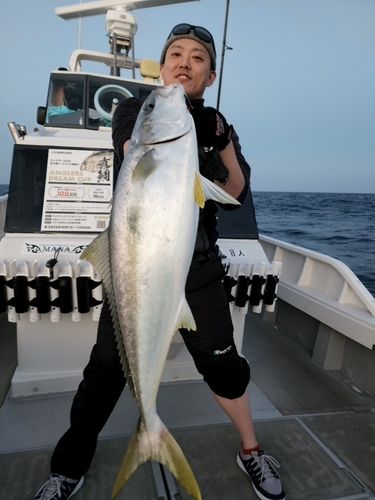 ヒラマサの釣果