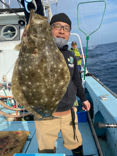 ヒラメの釣果