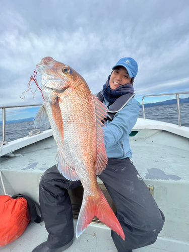 マダイの釣果