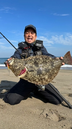 ヒラメの釣果