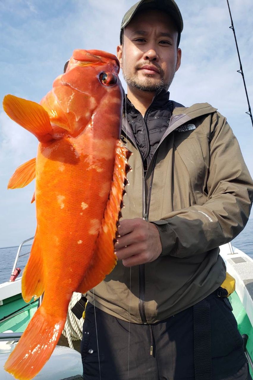 ポケ船長さんの釣果 2枚目の画像