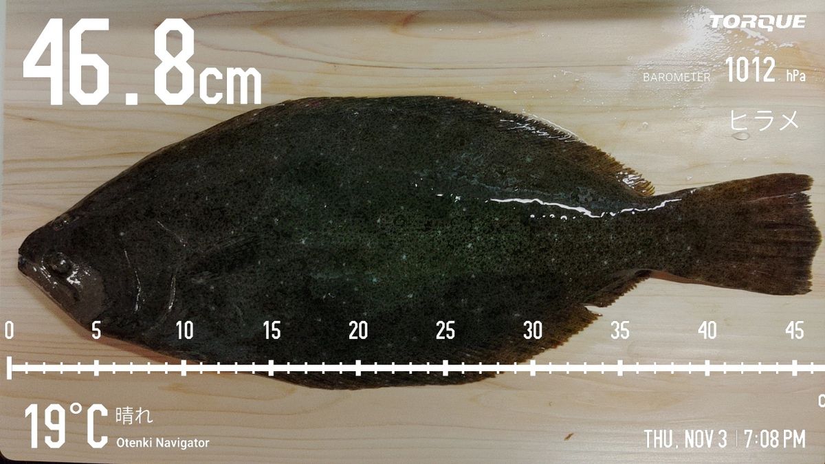 でっけさんの釣果 2枚目の画像