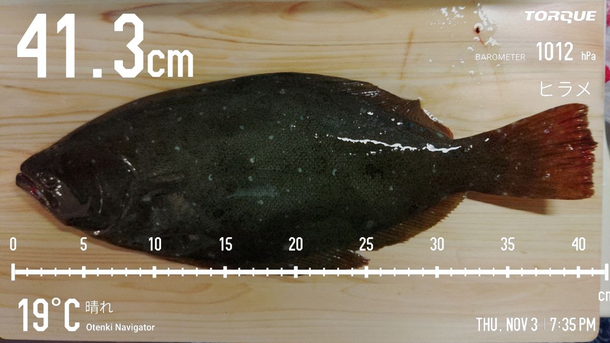 でっけさんの釣果 3枚目の画像