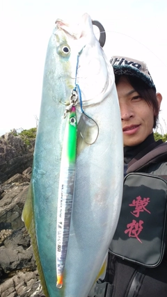 イナダの釣果