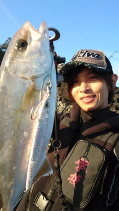 ショゴの釣果